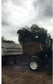 Земля перегной песок щебень слом домов вывоз мусор Спасск-Рязанский